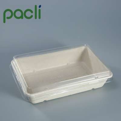 Compostable biodegradable bento box one time use bagasse food container with lid